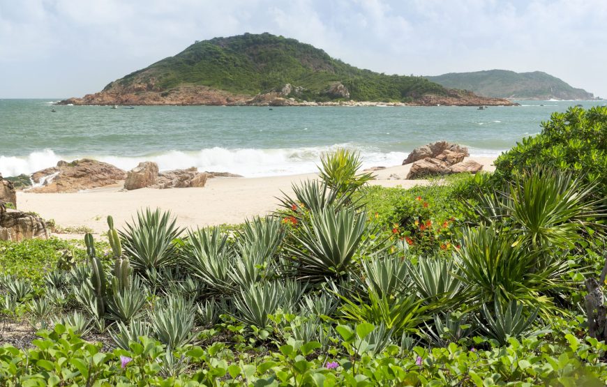 Avani Quy Nhon Resort